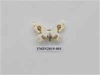 藏品(尺蛾464)的圖片